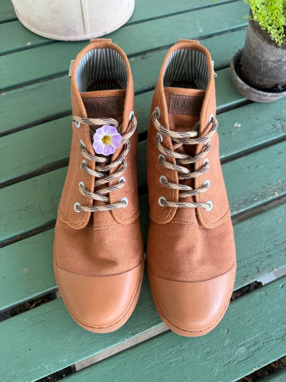 W 8.5 BANGS Shoes. Sahara Sand high tops.